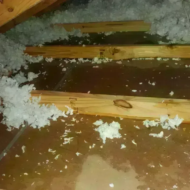 Attic Water Damage in Wrightsville, GA